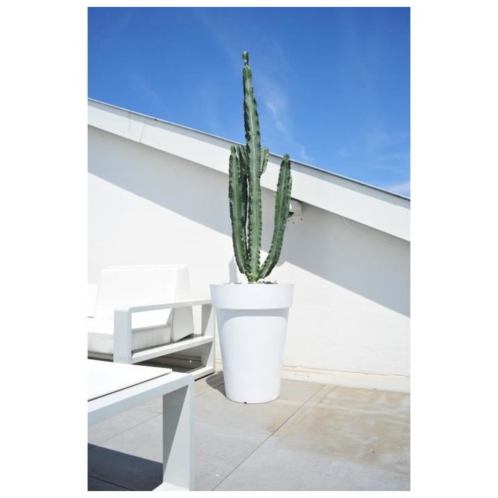 RIVIERA Pot Soleilla haut - 53 cm - Blanc