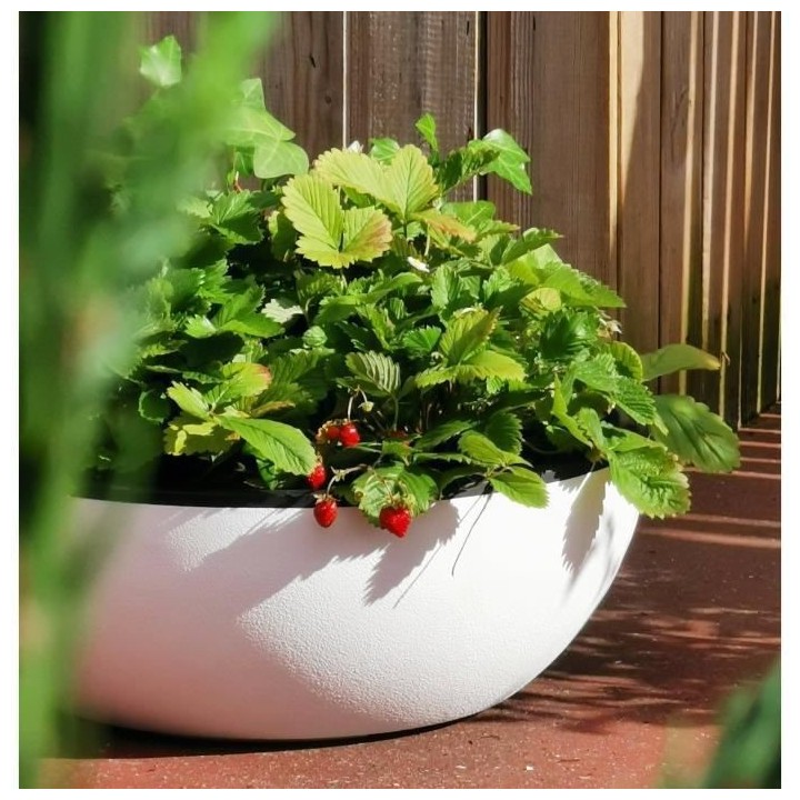 RIVIERA - Coupe pot de fleurs - granit D50 - blanc