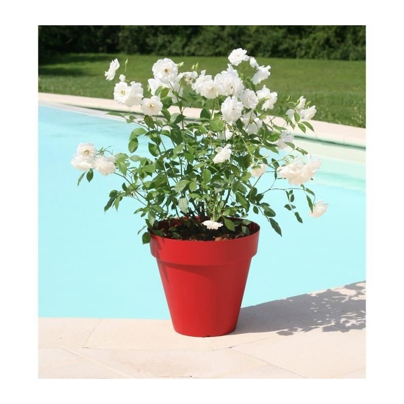 RIVIERA Pot de fleurs Soleilla -Rond - Ø 39,2 x 35,8 cm - Rouge