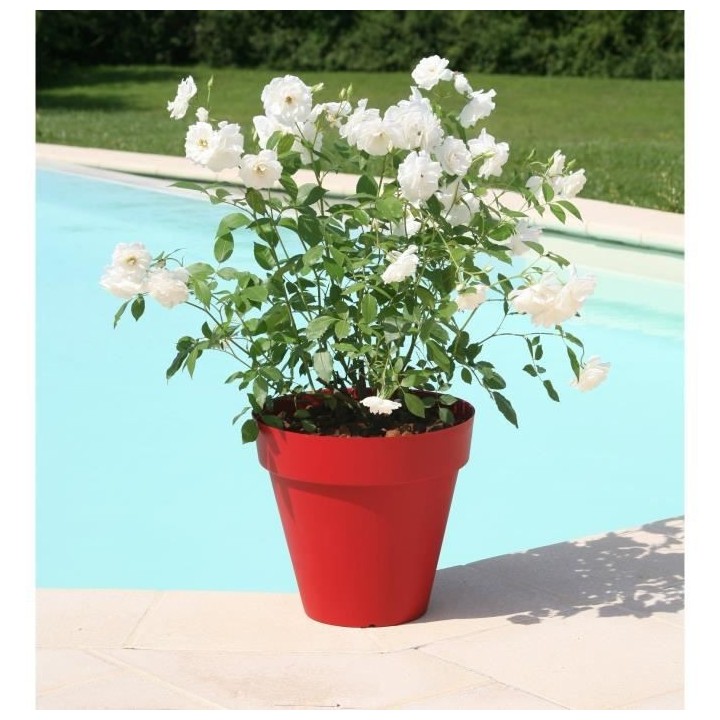 RIVIERA Pot de fleurs Soleilla -Rond - Ø 39,2 x 35,8 cm - Rouge