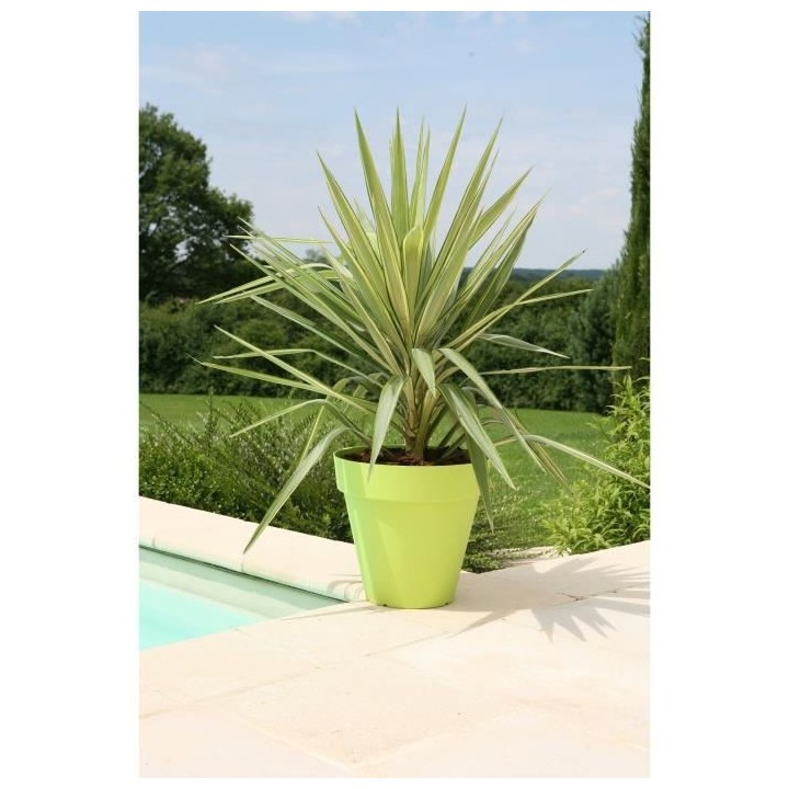 RIVIERA Pot de fleurs Soleilla - Rond - Ø 39,2 x 35,8 cm - Vert anis