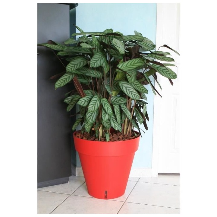 RIVIERA Pot de fleurs Loft avec réserve d'eau - Rond - Ø 50 x H 46 c