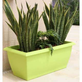 RIVIERA Bac rectangulaire Evolution - 80x40cm - Contenance 64l - Vert