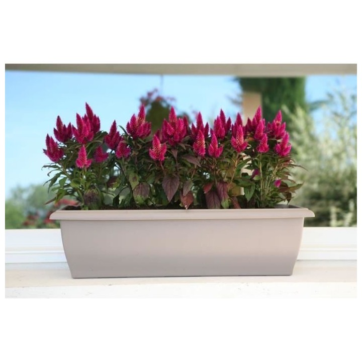 RIVIERA Jardiniere Evolution - 80 x 40 x H 32 cm - 64 L -Taupe