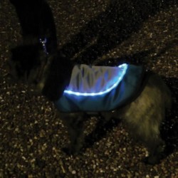 ROSEWOOD Veste LED 18 Night-Bright - Pour chien