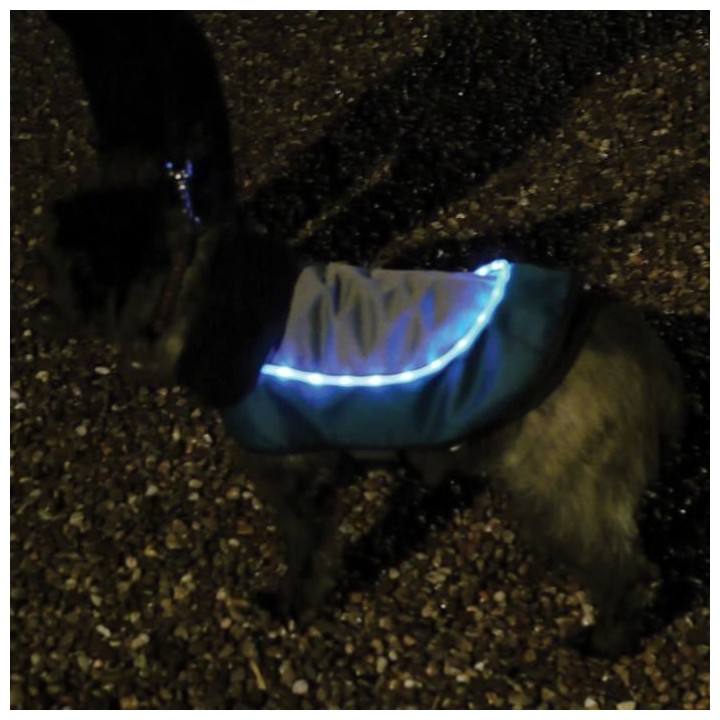 ROSEWOOD Veste LED 18 Night-Bright - Pour chien