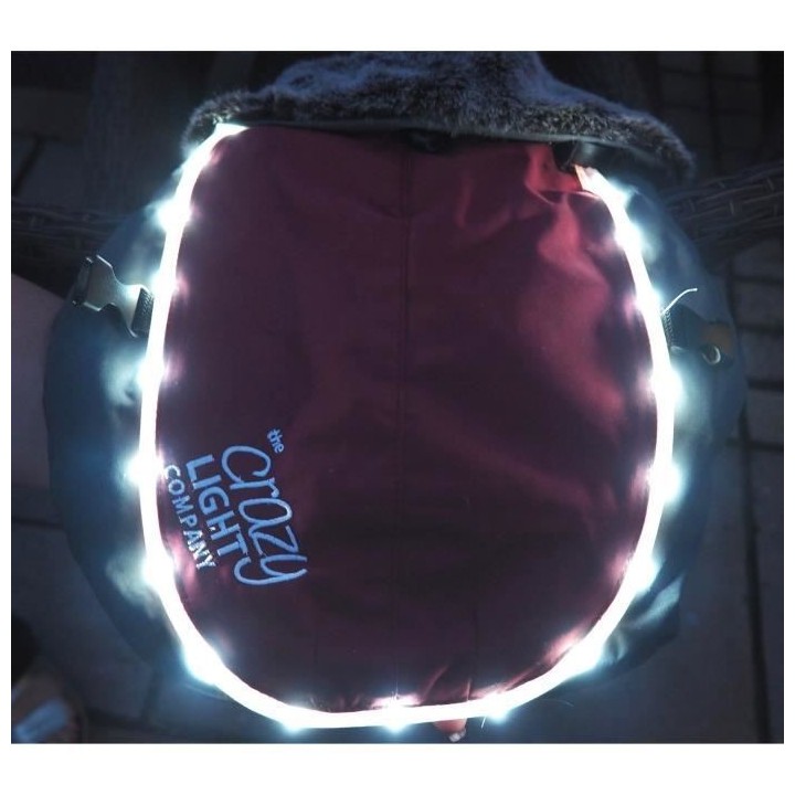 ROSEWOOD Veste LED de luxe 12 - Pour chien