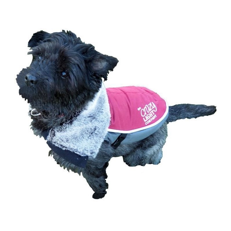 ROSEWOOD Veste a LED de luxe 15 - Pour chien