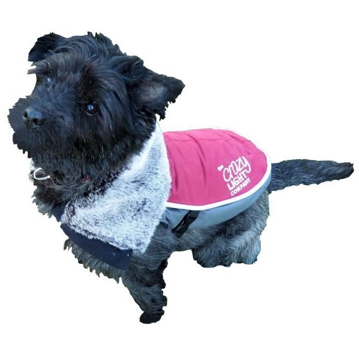 ROSEWOOD Veste a LED de luxe 15 - Pour chien