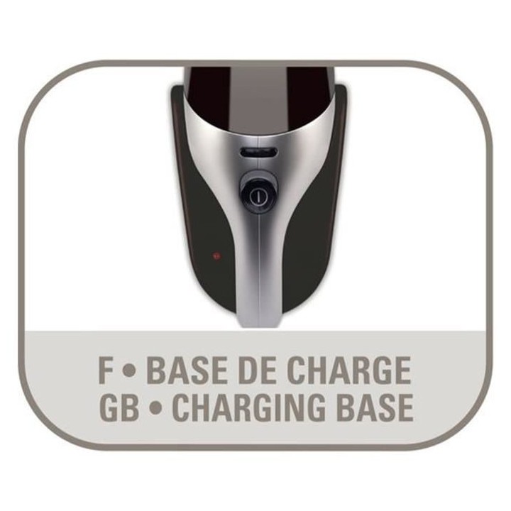 ROWENTA AC446101 Extenso Aspirateur a main, 4,8 V, Autonomie 11 minute