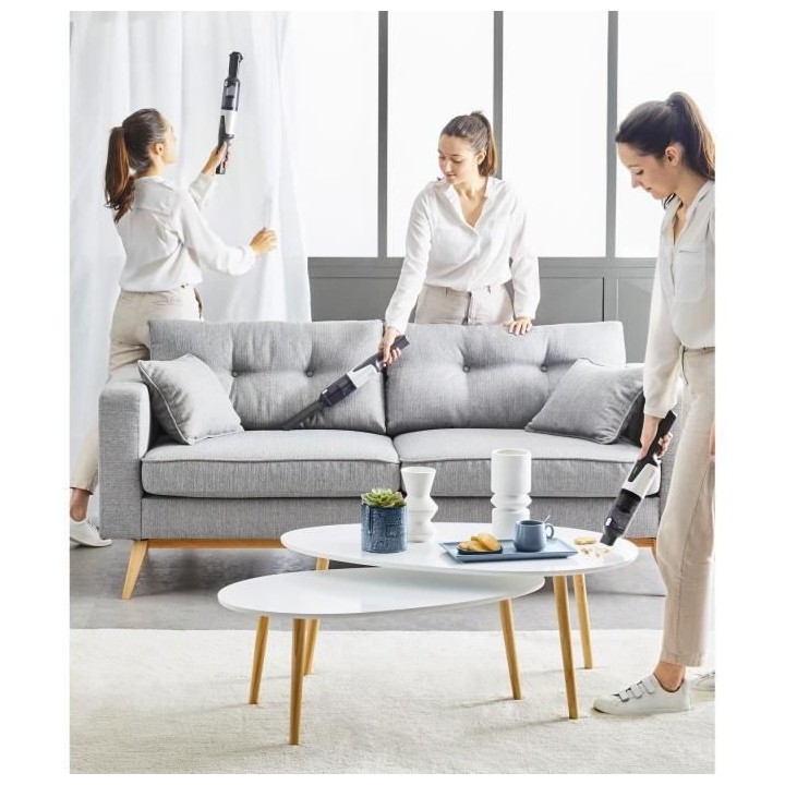 ROWENTA AC9736WO X-Touch Aspirateur a main, Conception cylindrique, Mo