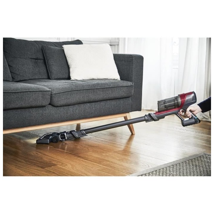 ROWENTA X-PERT 6.60 Kit animal Aspirateur balai sans fil, Gâchette Bo