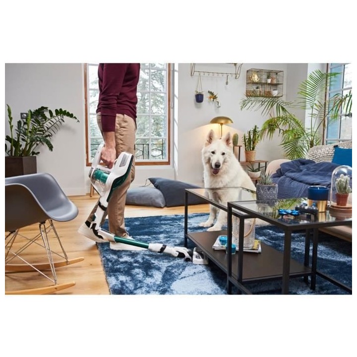 Rowenta RH9472WO Air Force Flex 560 Animal Aspirateur balai sans fil m