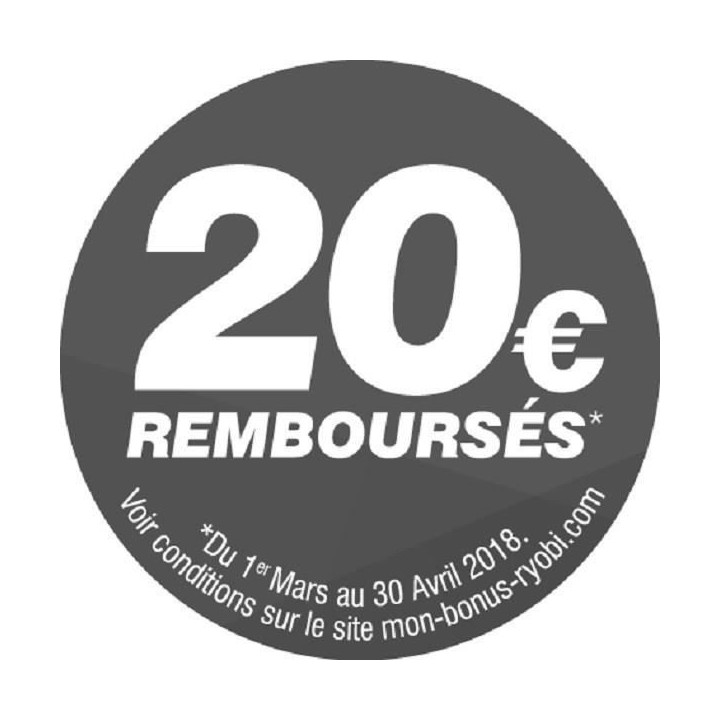 Elagueur sur perche sans fil 18V ONE+ RYOBI RPP182015S - Guide 20 cm -