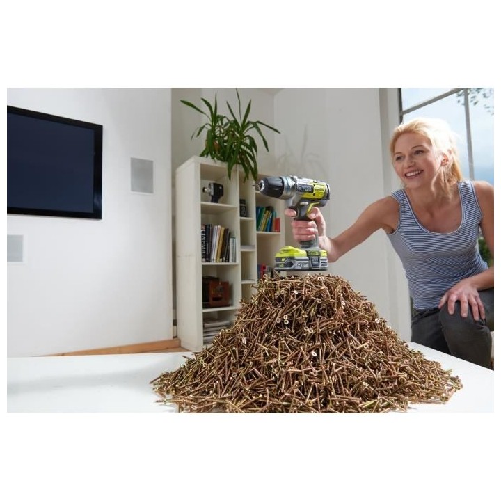 RYOBI Perceuse-visseuse a percussion Brushless - 18V - 60 Nm