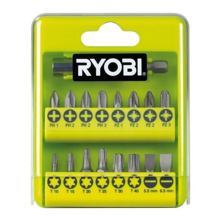 RYOBI Perceuse-visseuse sans fil 18V ONE+ R18DD3-220TA17 - 2 batteries