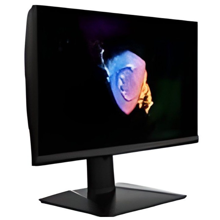 Ecran PC Gamer - MSI - Oculux NXG253R - 25 FHD - Dalle IPS - 1 MS - 36