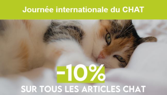 Journée internationale du Chat