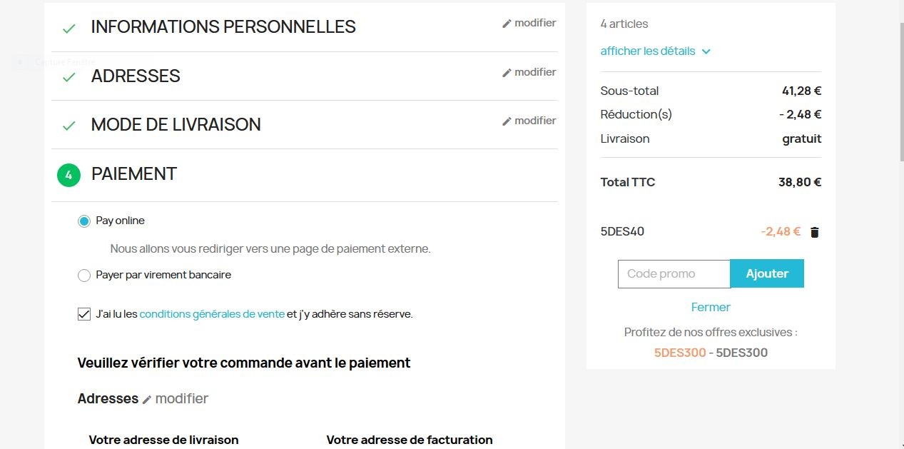 Le site est sécurisé par Stripe et Recaptcha v2