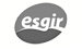 Esgir